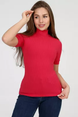 Водолазка 26001