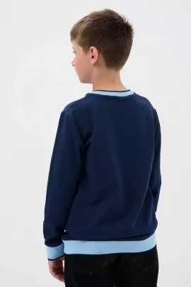 Толстовка Лицеист подростковая