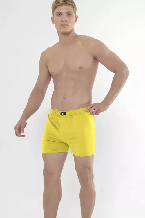 Трусы мужские классические Cavalo Marinho СТЭ