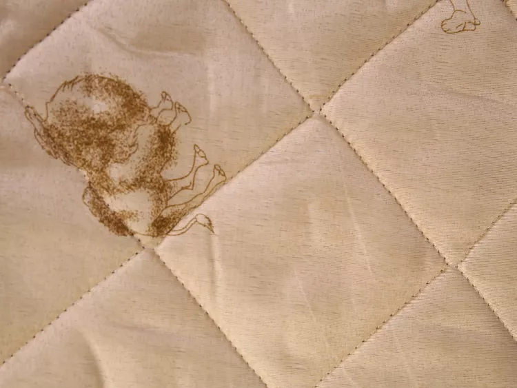 Одеяло "Верблюд" облегченное п/э детское